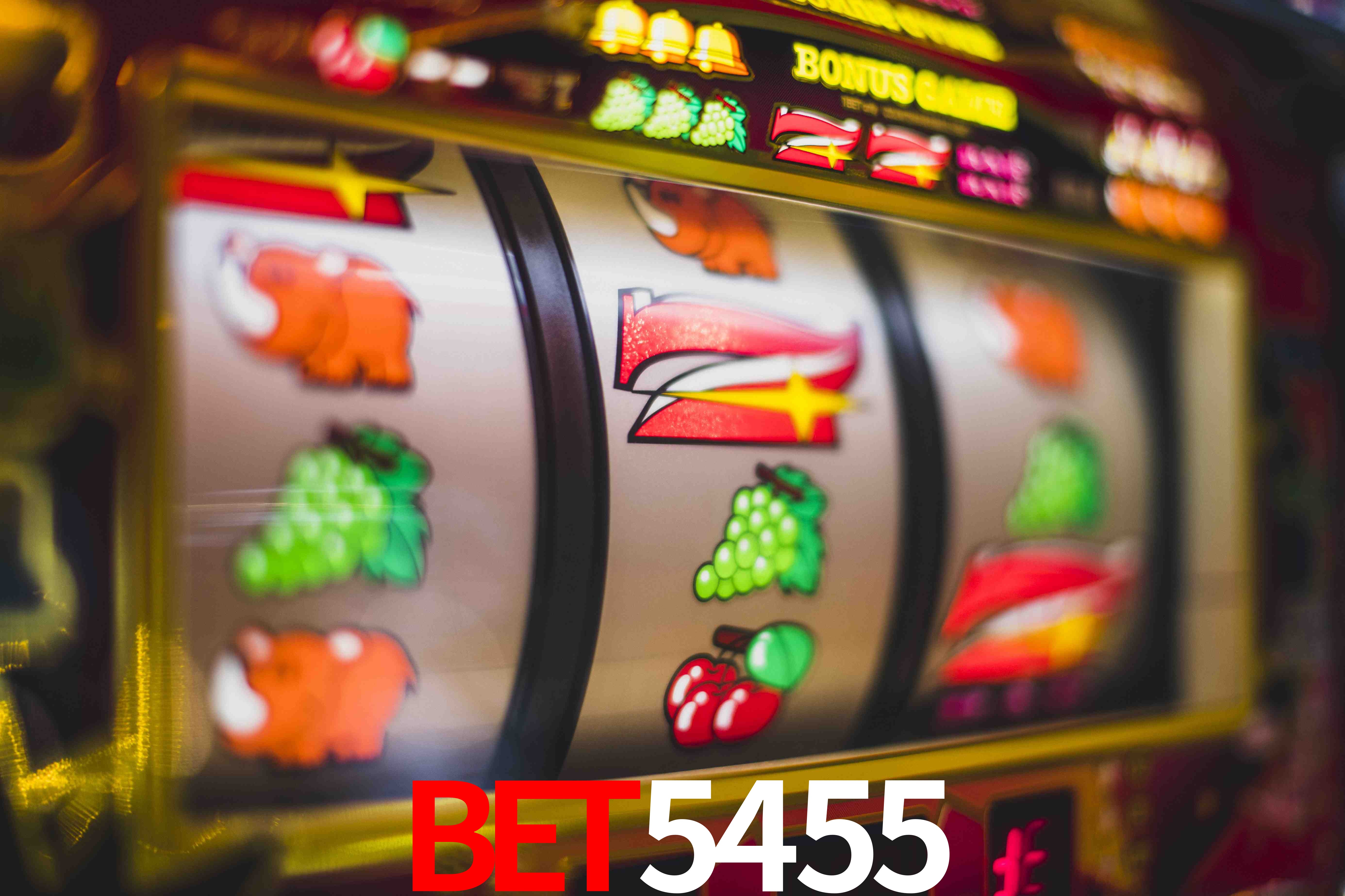 Experiência VIP bet5455