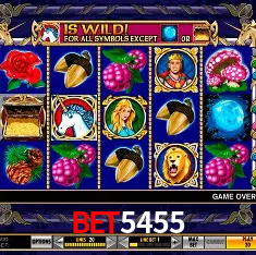 bet5455 Brasília - VIP Program